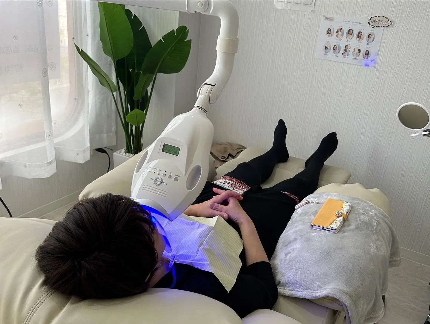 Data▼ 耳ツボダイエット-明日葉-