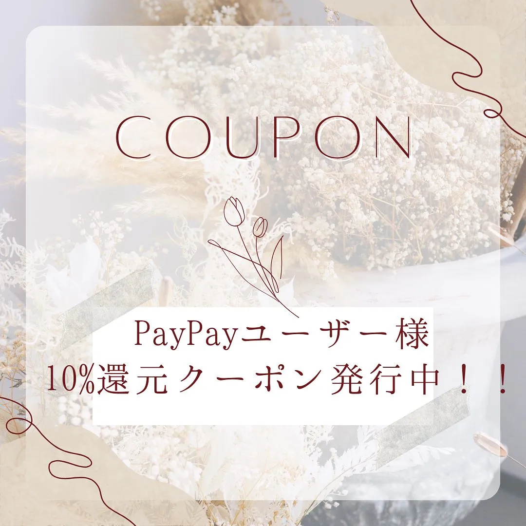 Data▼PayPayクーポン発行中！！